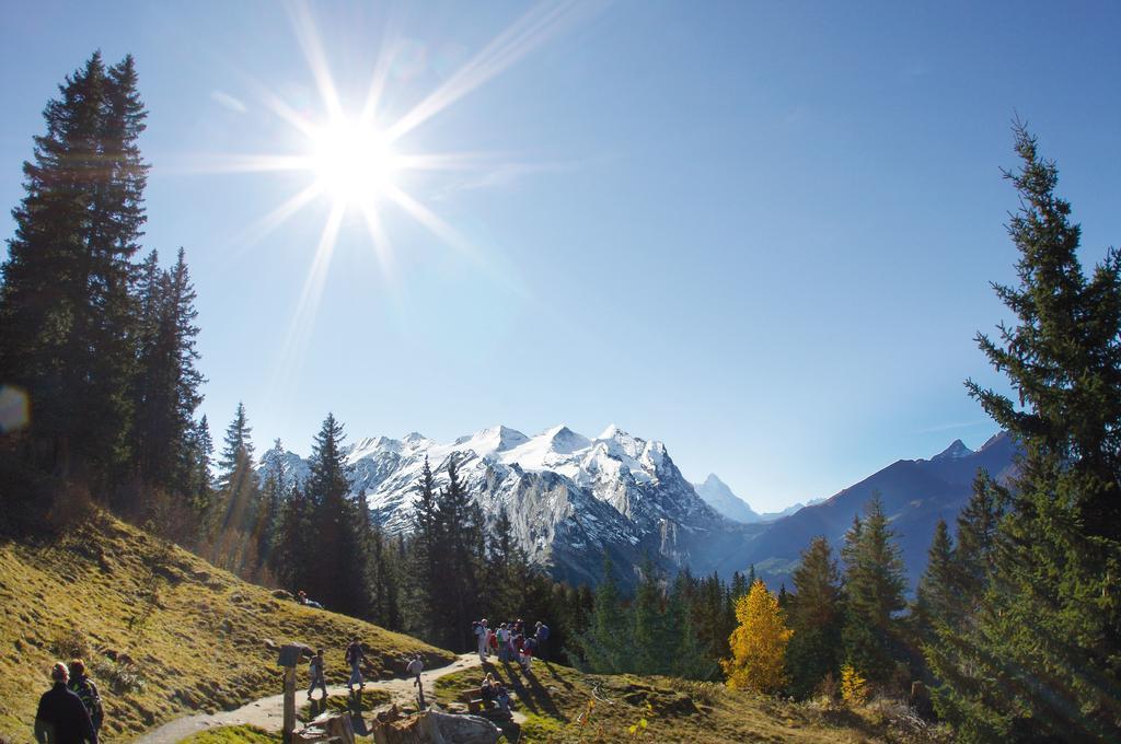 Mountain Lodge Urweider Innertkirchen Bagian luar foto