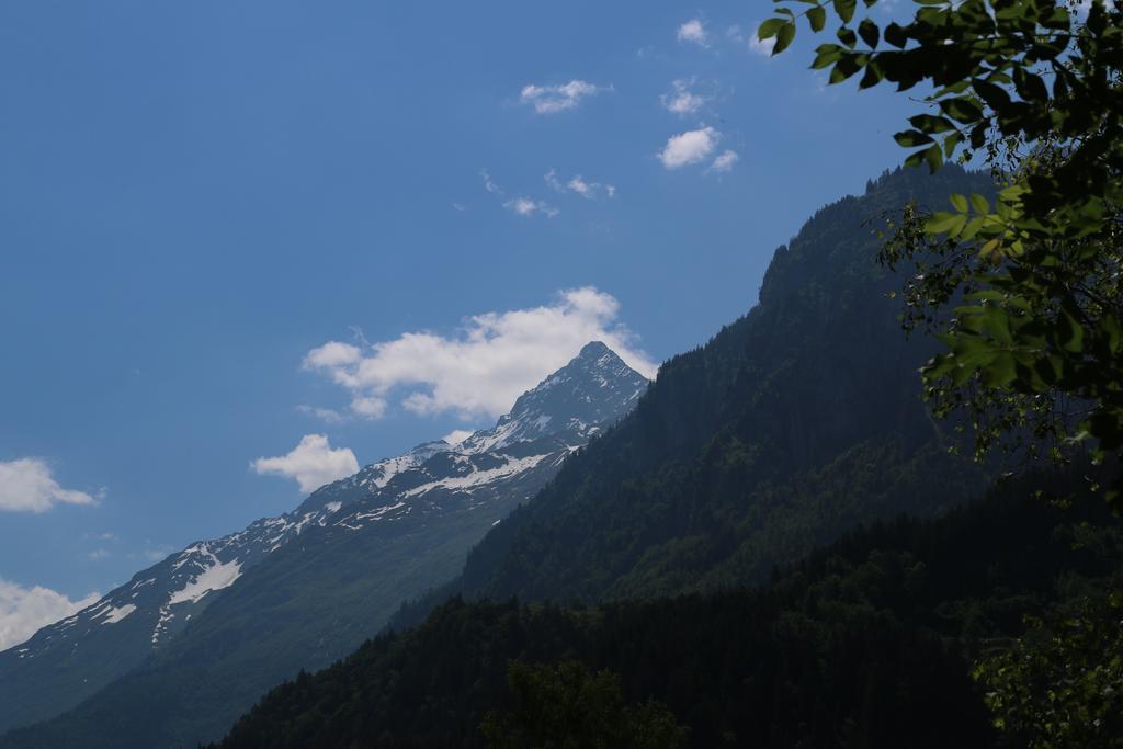 Mountain Lodge Urweider Innertkirchen Ruang foto