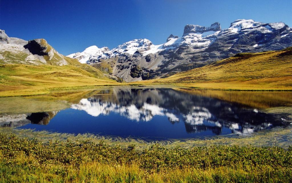 Mountain Lodge Urweider Innertkirchen Bagian luar foto