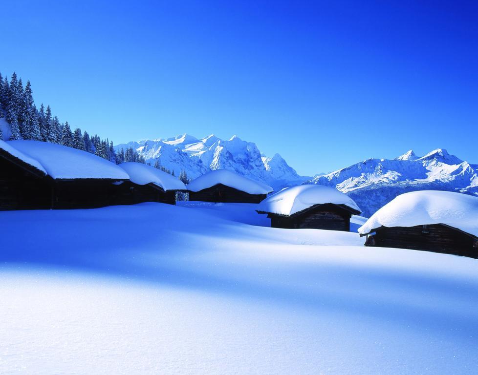 Mountain Lodge Urweider Innertkirchen Bagian luar foto