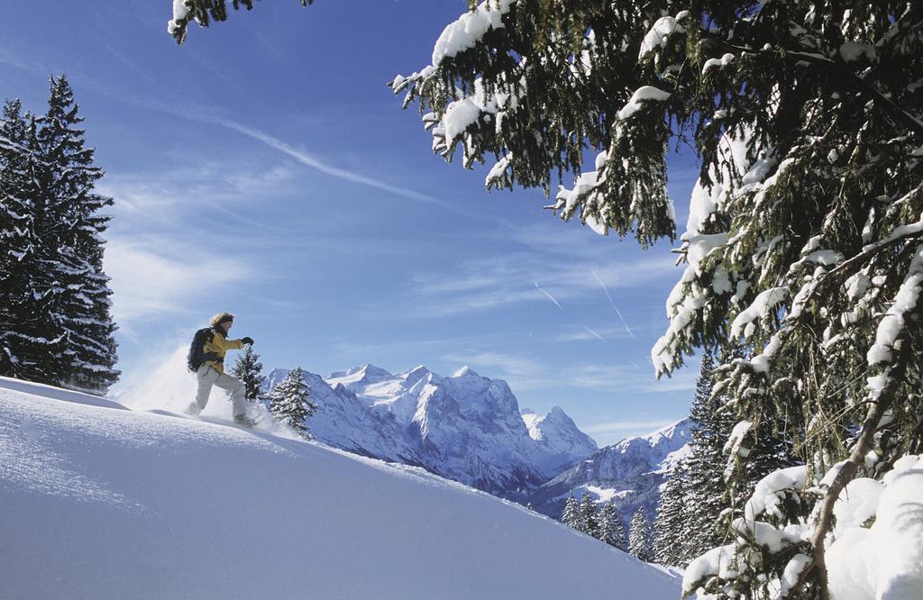 Mountain Lodge Urweider Innertkirchen Bagian luar foto