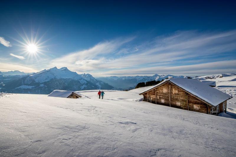Mountain Lodge Urweider Innertkirchen Bagian luar foto