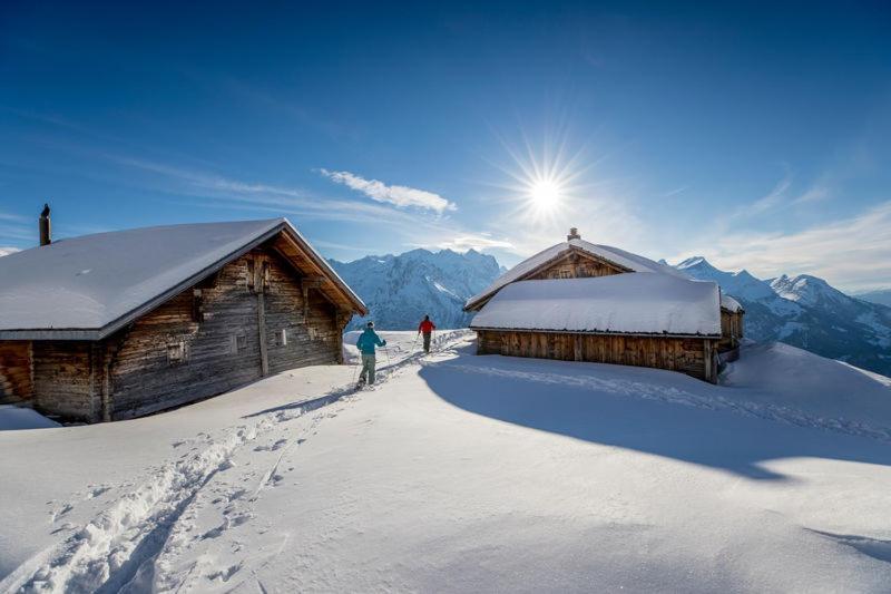 Mountain Lodge Urweider Innertkirchen Bagian luar foto